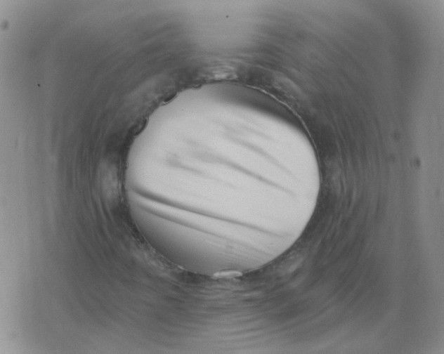 X0000073931442200609011822