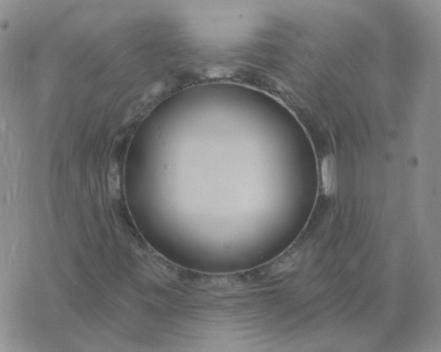 X0000073931443200609011822