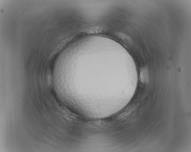 X0000073931444200609011822