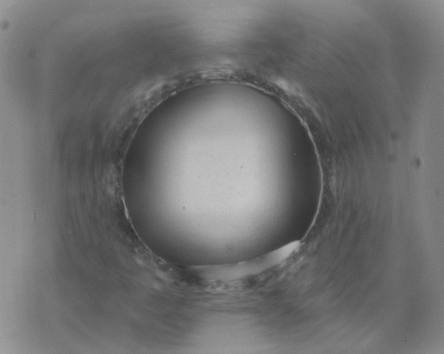 X0000073931445200609011822