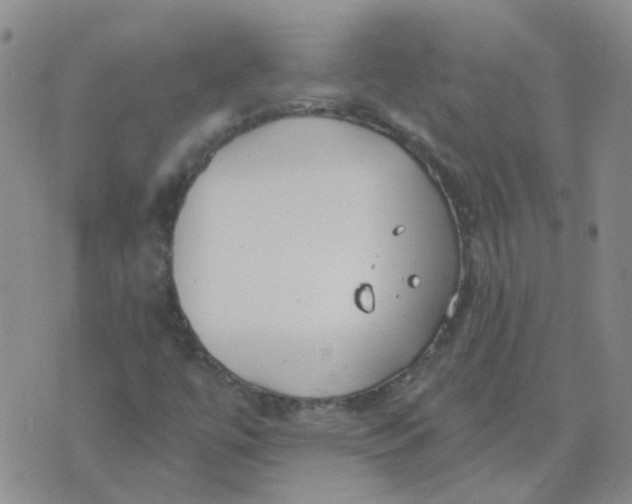 X0000073931447200609011822