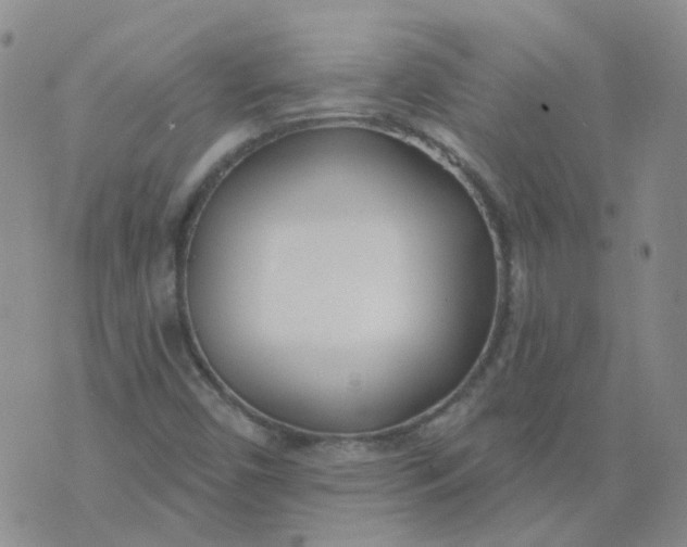 X0000073931450200609011822