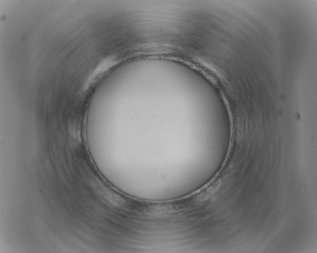 X0000073931451200609011822