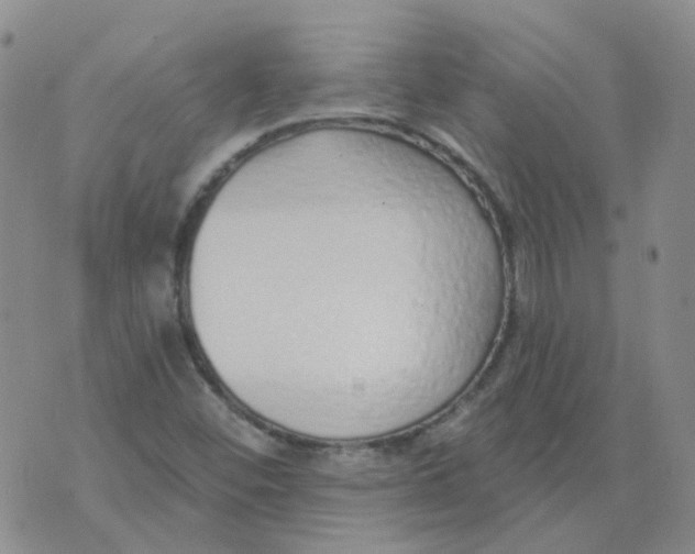 X0000073931452200609011822