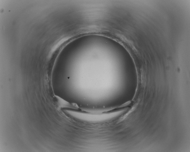 X0000073931453200609011822