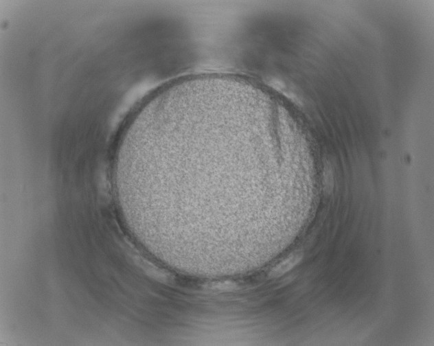 X0000073931454200609011822