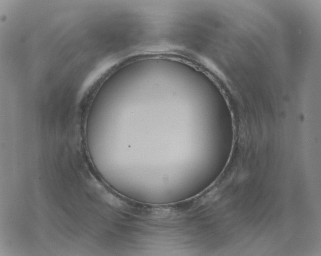 X0000073931456200609011822