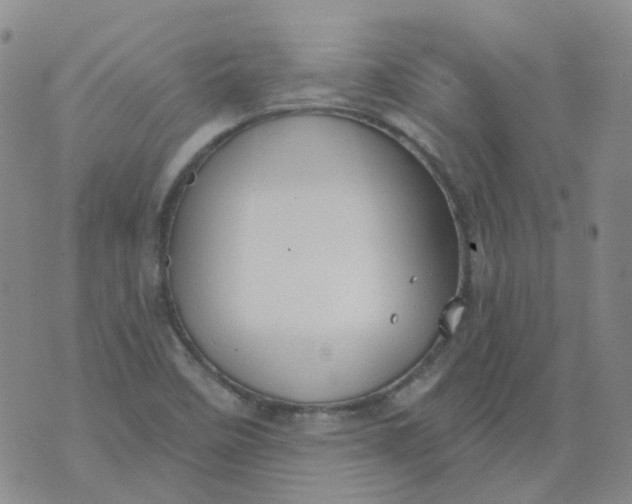 X0000073931458200609011822