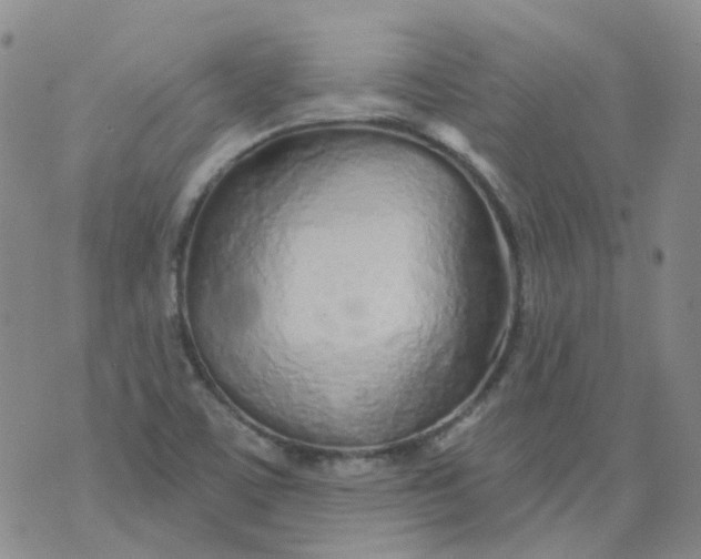 X0000073931459200609011822