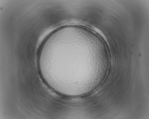 X0000073931464200609011822