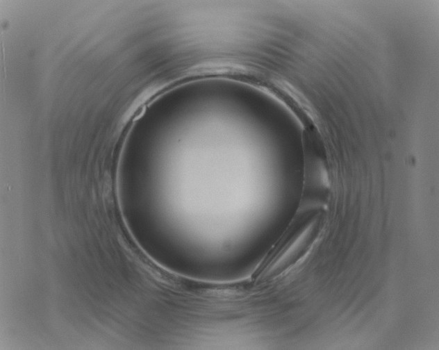 X0000073931465200609011822