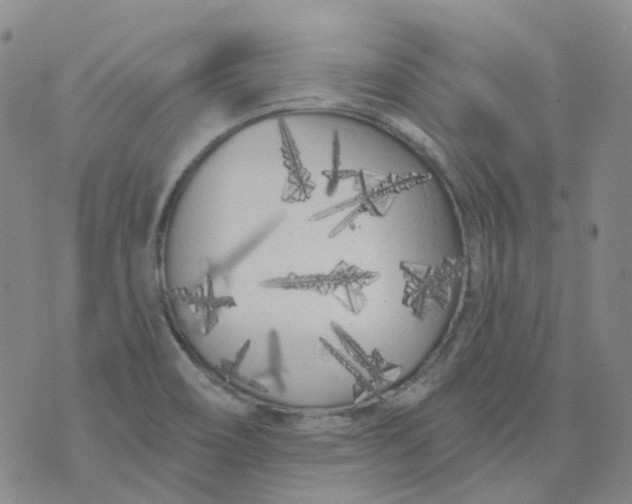 X0000073931466200609011822