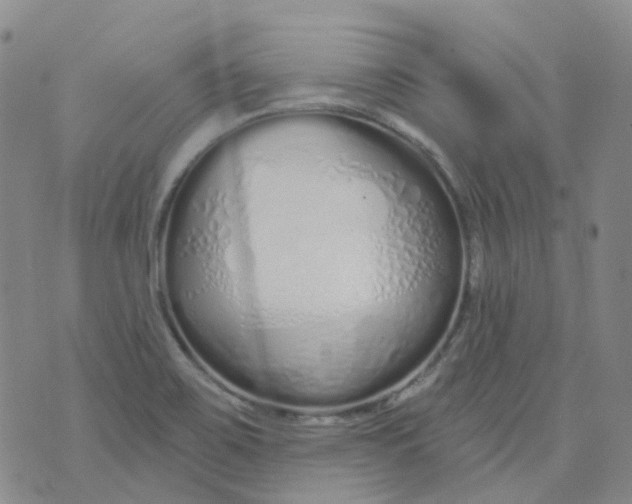 X0000073931467200609011822