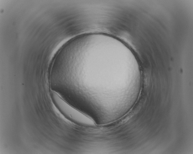 X0000073931468200609011822