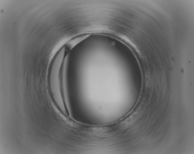 X0000073931469200609011822