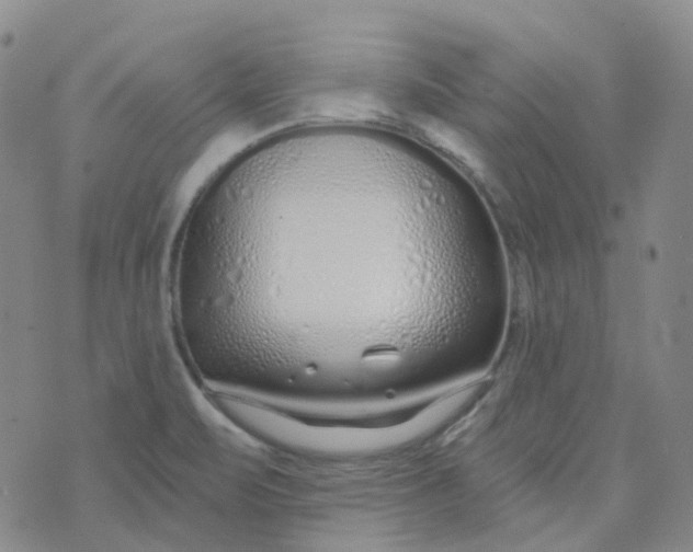 X0000073931471200609011822