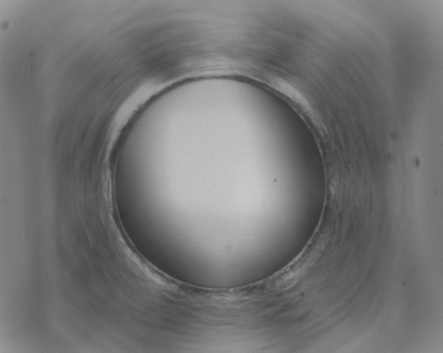 X0000073931472200609011822