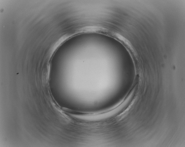 X0000073931473200609011822