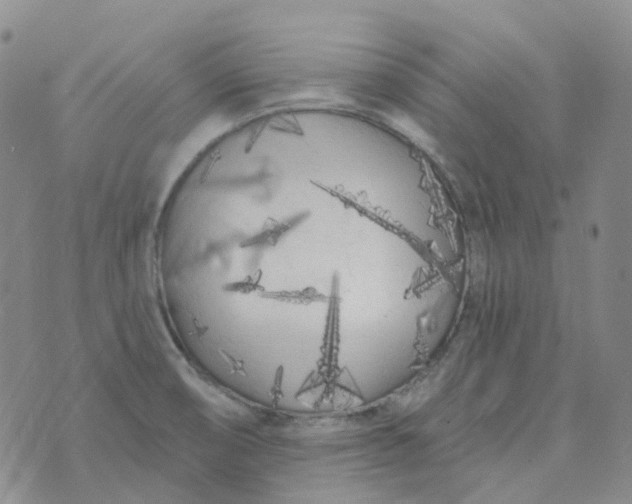 X0000073931474200609011822