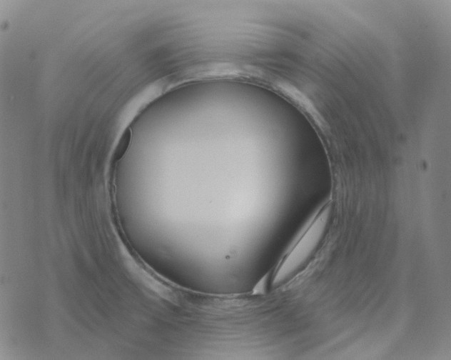 X0000073931475200609011822