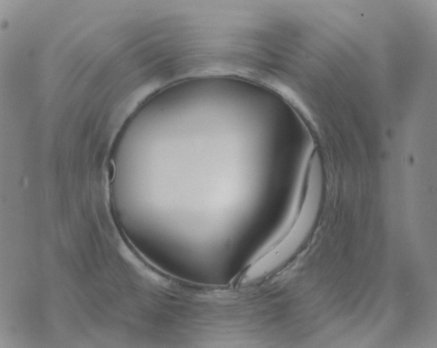 X0000073931476200609011822