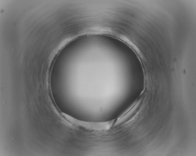 X0000073931477200609011822