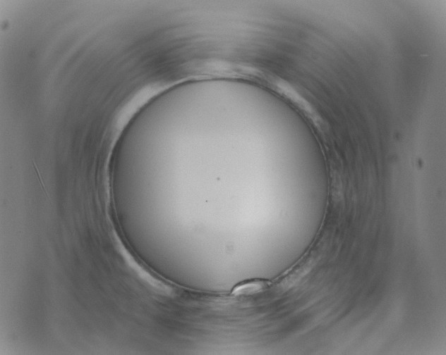 X0000073931479200609011822