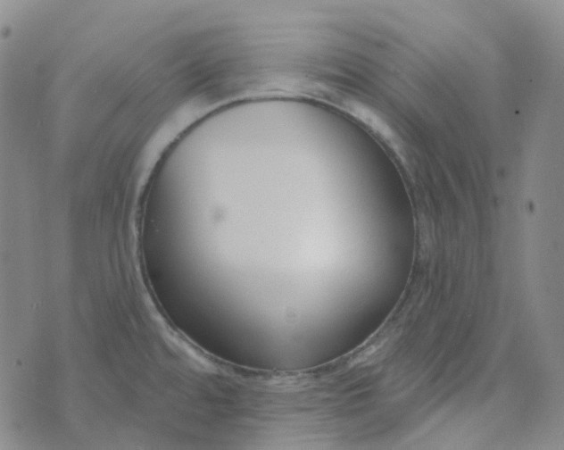 X0000073931480200609011822