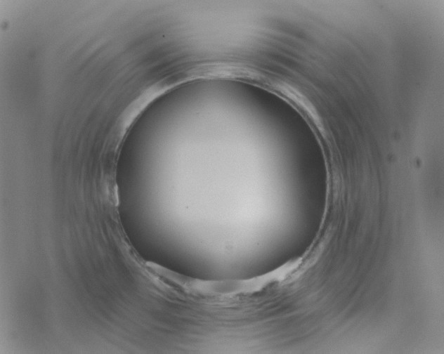 X0000073931481200609011822