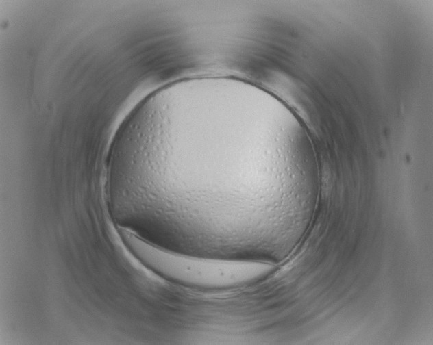 X0000073931484200609011822