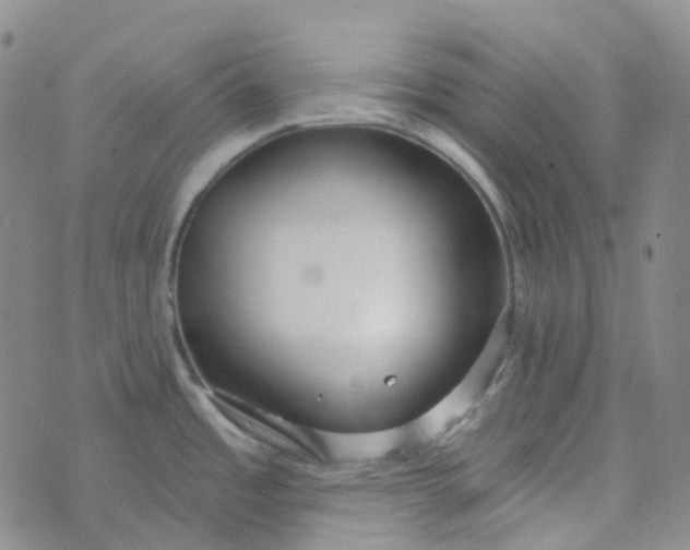 X0000073931485200609011822