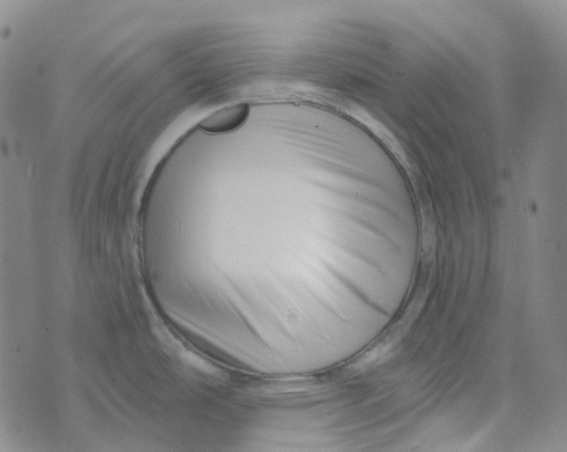 X0000073931486200609011822