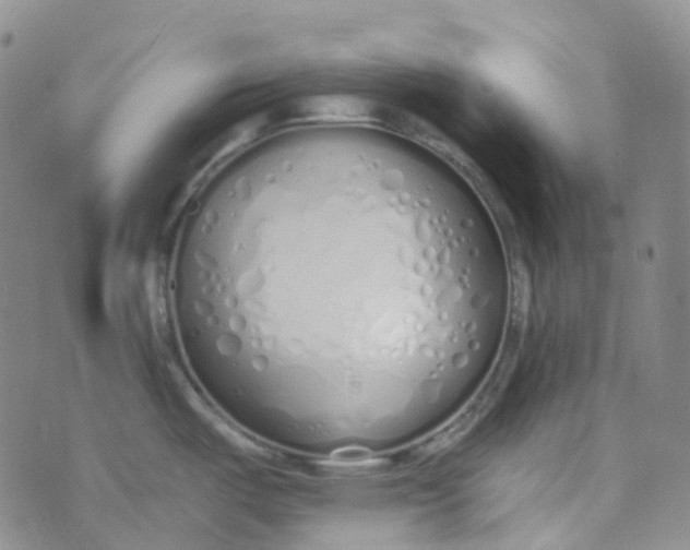 X0000073931487200609011822