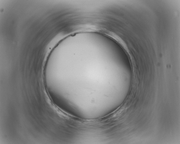 X0000073931488200609011822