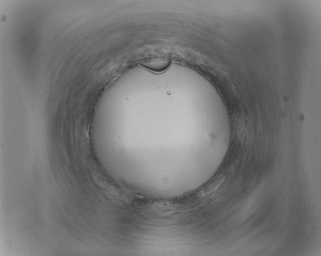 X0000073931489200609011821