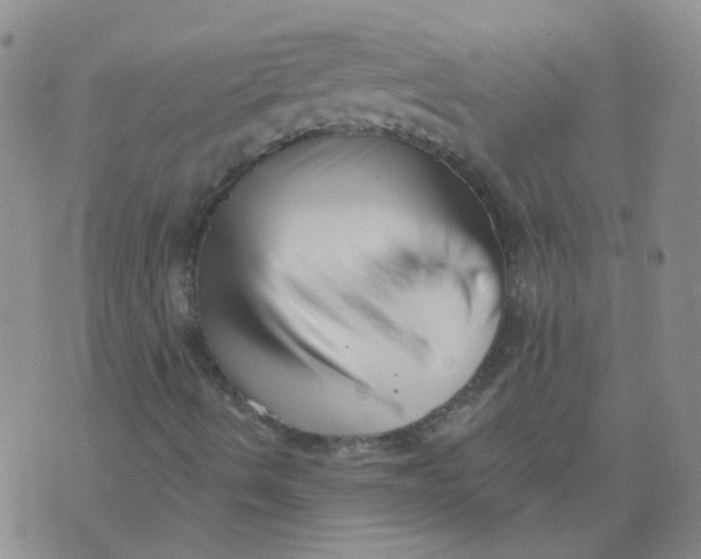 X0000073931490200609011821