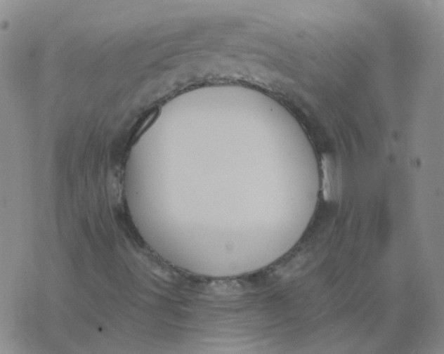 X0000073931491200609011821