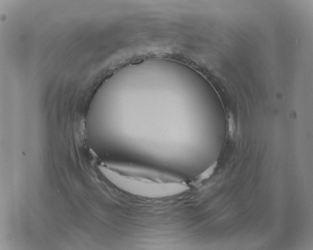 X0000073931492200609011821