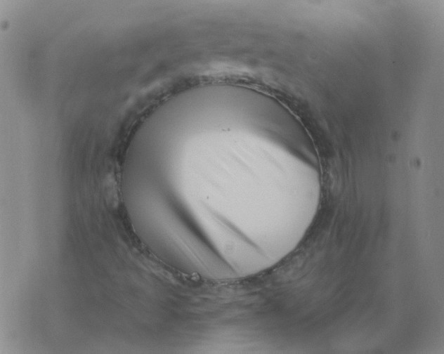 X0000073931493200609011821