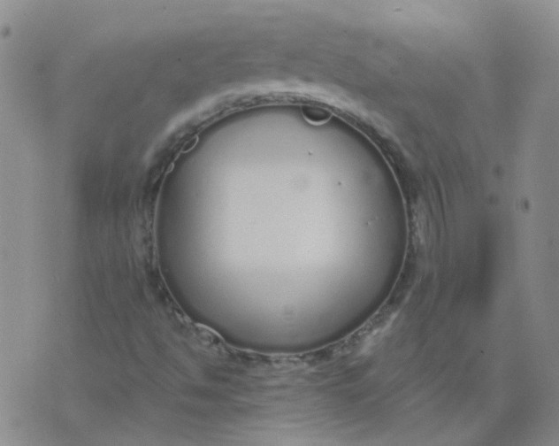 X0000073931494200609011821