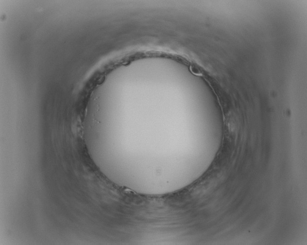 X0000073931495200609011821