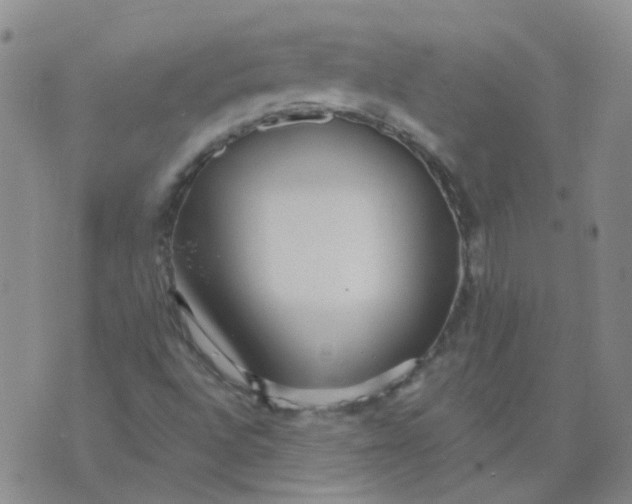 X0000073931496200609011821