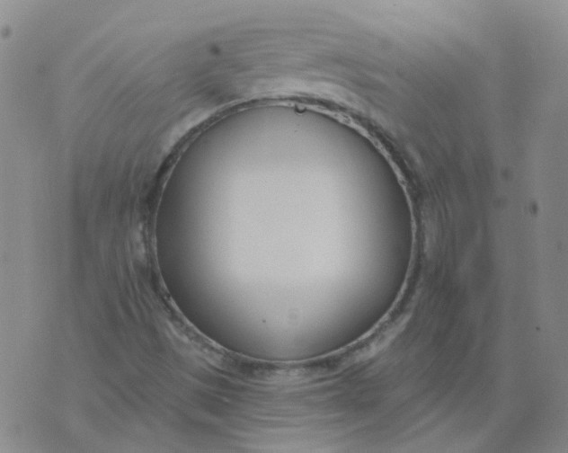 X0000073931497200609011821