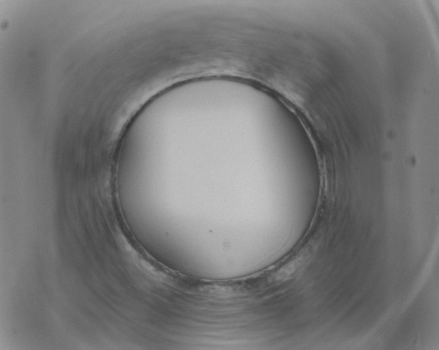 X0000073931500200609011821