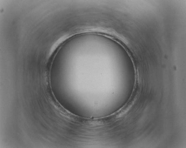 X0000073931501200609011821