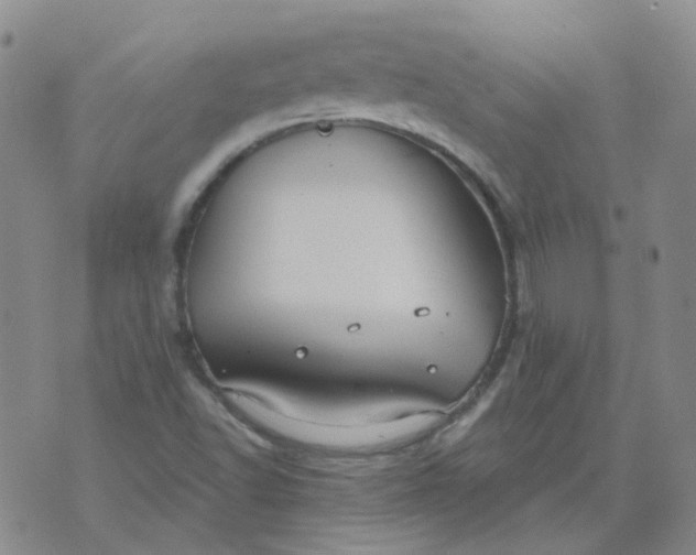 X0000073931502200609011821