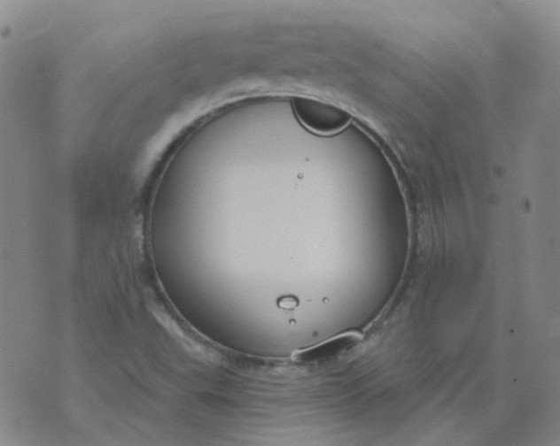 X0000073931503200609011821