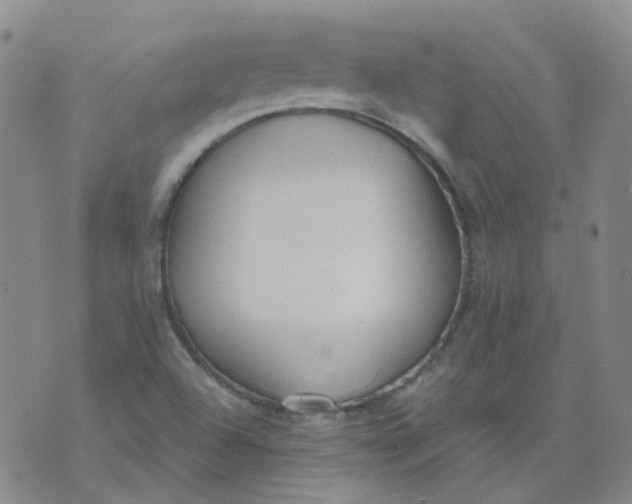 X0000073931504200609011821