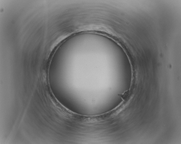 X0000073931505200609011821