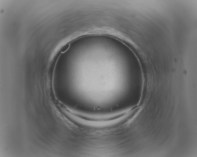 X0000073931506200609011821